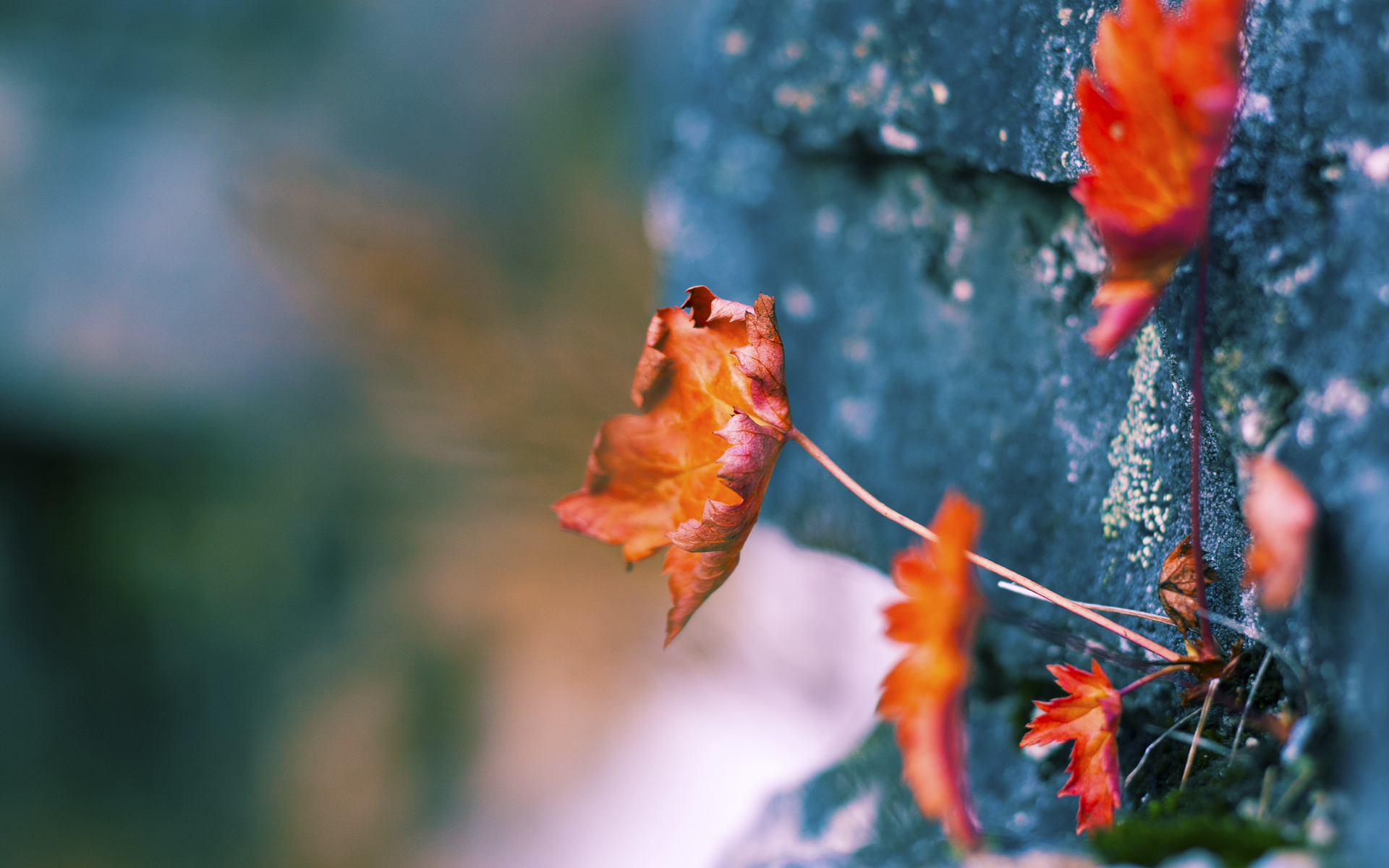 2026 世界杯衍生品发布：复古海报与 3D 打印球星盲盒受 Z 世代热捧。